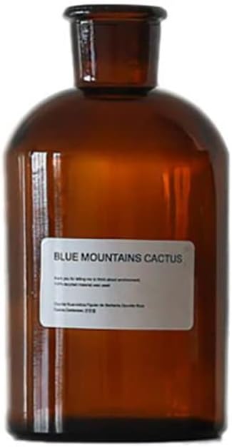 Amber Glass Bud Vase, 1pc Empty Vintage Floral Vase, Decorative Glass Bottle, Brown Apothecary Jar, Home Decor, Wedding Table Decor (1000ml/34oz)