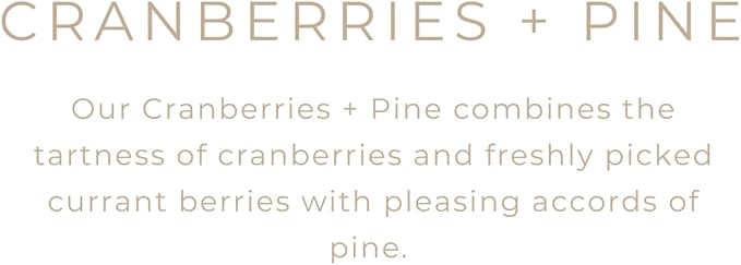 River Birch Candles Cranberries & Pine Scented Candle | Premium, All-Natural, Non-Toxic, Soy Candles | 16oz 90 Hr Burn Time | Cozy Relaxing Gifts for Home