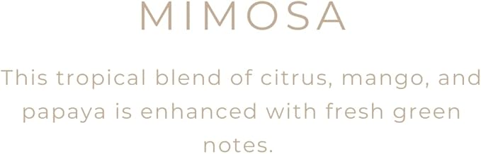 River Birch Candles Mimosa Scented Candle | Premium, All-Natural, Non-Toxic, Soy Candles | 16oz 90 Hr Burn Time | Cozy Relaxing Gifts for Home