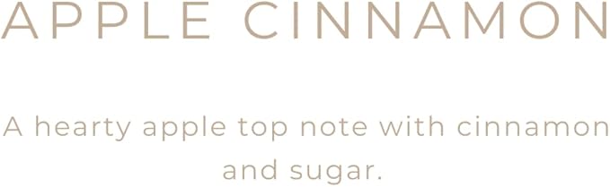 River Birch Candles Apple Cinnamon Scented Candle | Premium, All-Natural, Non-Toxic, Soy Candles | 16oz 90 Hr Burn Time | Cozy Relaxing Gifts for Home