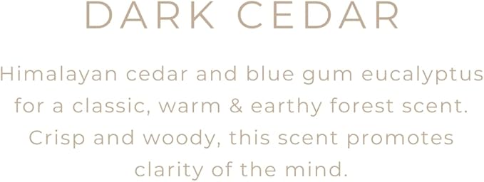 River Birch Candles Eucalyptus & Cedar Scented Candle | Premium, All-Natural, Non-Toxic, Soy Candles | 16oz 90 Hr Burn Time | Cozy Relaxing Gifts for Home