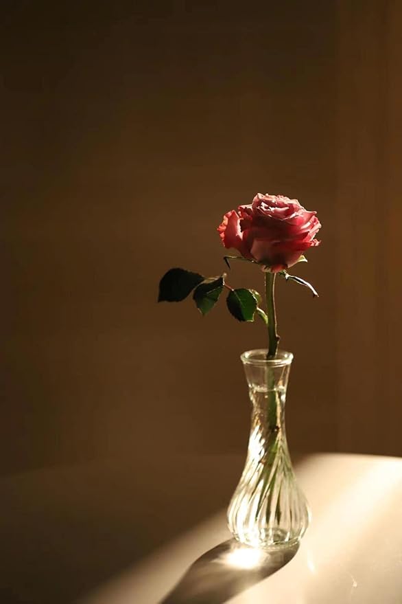 Set of 24 Glass Vase, Bud Vases in Bulk with Lace for Floral Arrangements, Events, Home Decor Weddings, Table Centerpiece (Clear, 24)