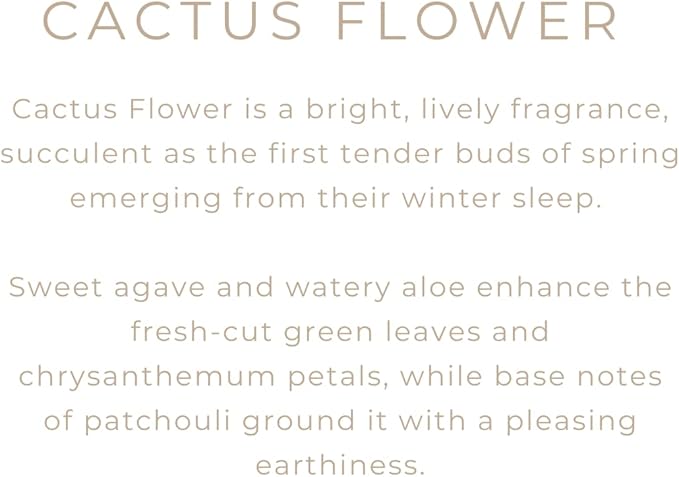 River Birch Candles Cactus Flower Scented Candle | Premium, All-Natural, Non-Toxic, Soy Candles | 16oz 90 Hr Burn Time | Cozy Relaxing Gifts for Home