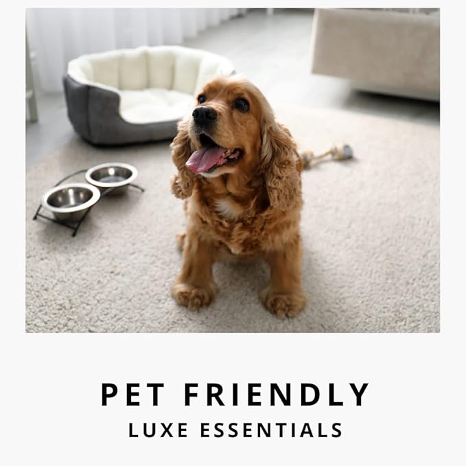 Home "Noir Luxe" Sea Salt & Ozone, Carpet Powde For Vacuumingr, Mattress & Upholstery Freshener With Room Spray, Air/Fabric/Linen Odor Eliminator For Homes With Kids & Pets Bundle