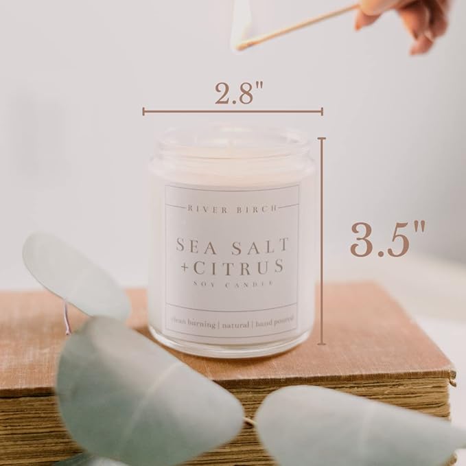 River Birch Candles Sea Salt & Citrus Scented Candle | Premium, All-Natural, Non-Toxic, Soy Candles | 8.5oz 40 Hr Burn Time | Cozy Relaxing Gifts for Home