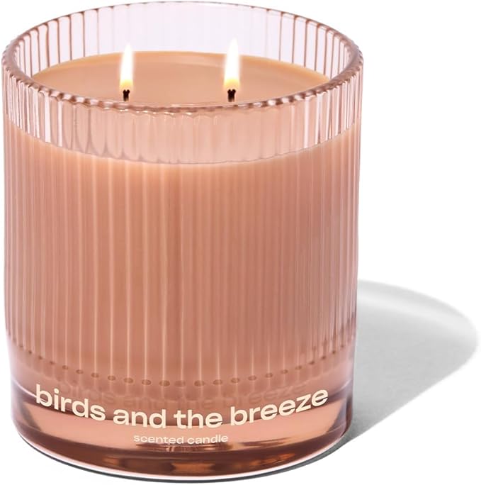 Birds and The Breeze Luxury Scented Candle by Snif, Light and Airy Scent, 50+ Hours, 100% Cotton Fiber Wicks, Soy Wax Blend, Non-Toxic, Vegan, 8.5 oz…