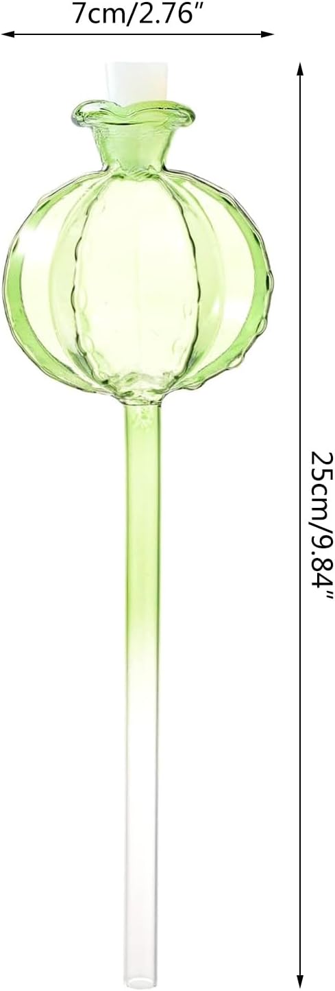 3pcs Glass Plant Self-Watering Bulb Automatic Planter Insert Potted Plant Pomegranates Globes Device Mushroom Watering Globes