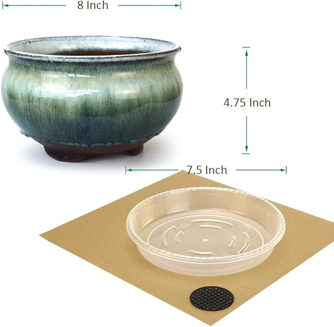 8 Inch Succulent Pot with Drainage and Saucer Glazed Terracotta Round Ceramic Succulent Planter Cactus Bonsai Plant Pot (White and Green)