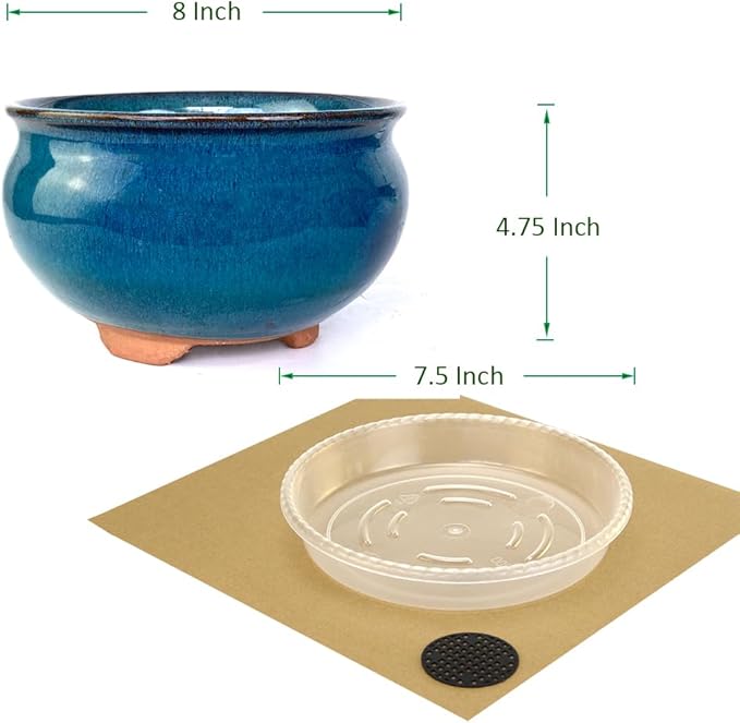 8 Inch Succulent Pot with Drainage and Saucer Glazed Terracotta Round Ceramic Succulent Planter Cactus Bonsai Plant Pot (Dark Green)