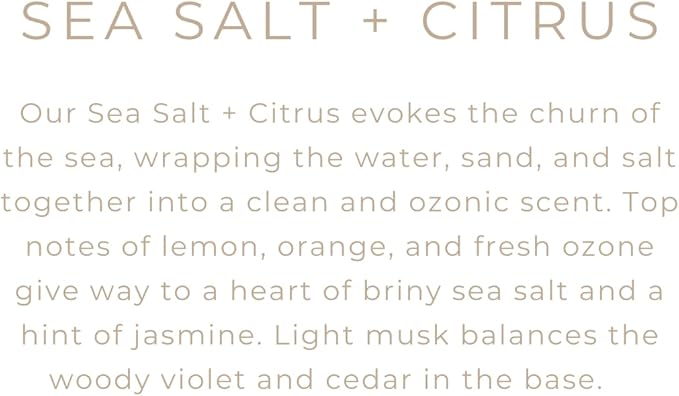 River Birch Candles Sea Salt & Citrus Scented Candle | Premium, All-Natural, Non-Toxic, Soy Candles | 16oz 90 Hr Burn Time | Cozy Relaxing Gifts for Home