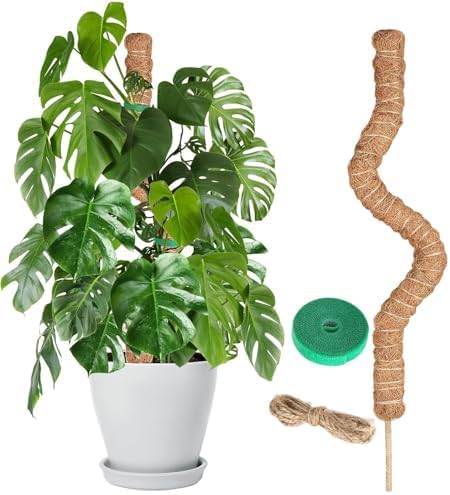 Moss Pole Monstera Plant Support – 48” Bendable Moss Pole Monstera Plant Support, Plant Stakes for Indoor Plants, Tall Plant Sticks Support for Climbing Plants