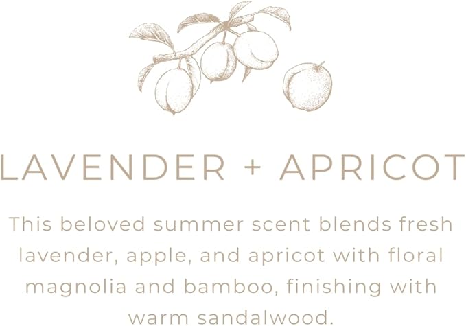 River Birch Candles Lavender + Apricot Scented Candle | Premium, All-Natural, Non-Toxic, Soy Wax | 16oz 90 Hr Burn Time | Cozy Relaxing Gifts for Home