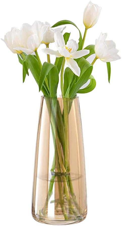 Aoderun Glass Vase for Flowers Modern Vases Home Decor Unique Flower Vase for Bouquet 8.7" Centerpiece Vase Decor Room,Bedroom,Living Room,Library,Office,Table,Entryway,Modern Farmhouse(Amber)