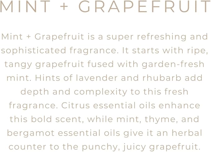 River Birch Candles Mint & Grapefruit Scented Candle | Premium, All-Natural, Non-Toxic, Soy Candles | 16oz 90 Hr Burn Time | Cozy Relaxing Gifts for Home