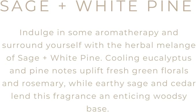 River Birch Candles Sage + White Pine Scented Candle | Premium, All-Natural, Non-Toxic, Soy Candles | 16oz 90 Hr Burn Time | Cozy Relaxing Gifts for Home