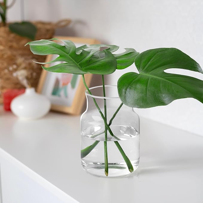 Clear Glass Vase, Large Flower Vase, 8-inch Glass Flower Vase for Plants, Wide Mouth Vase for Home, Wedding, Living Room, Dining Table