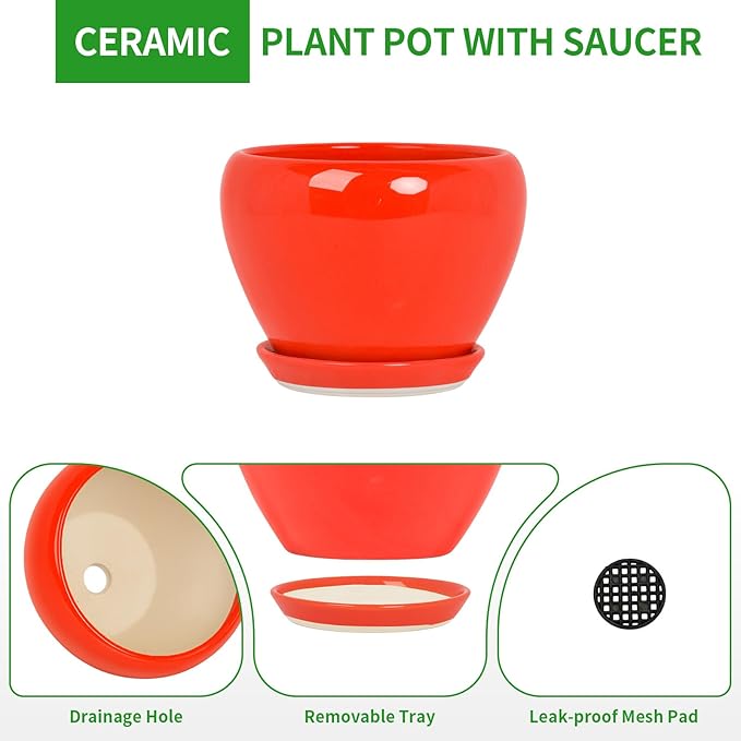 Deep Dream 6 Inch Plant Pots- Ceramic Planter Pot with Drainage Hole and Saucer, Round Flower Pot for Indoor Outdoor Succulent, Snake Plants and Cactus, Red
