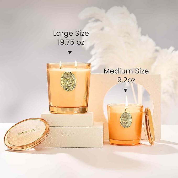 M&SENSE Large Two-Wick Soy Candle | Pumpkin Apple Pie & Orange | 19.8 oz, 120H Burn Time | Luxury Scented Candle for Relaxation, Gifting, Home Décor | Ideal for Bedroom, Office, Party Ambiance