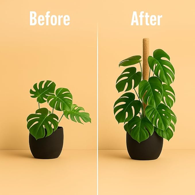 Moss Pole Monstera Plant Support – 2 Pack 28” Bendable Moss Pole Monstera Plant Support, Plant Stakes for Indoor Plants, Tall Plant Sticks Support for Climbing Plants