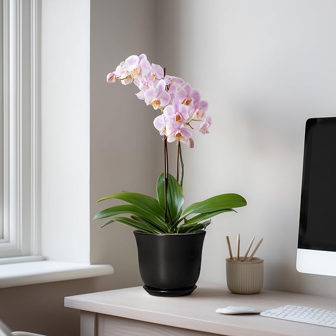 Ceramic Planter - 5.6 Inch Plant Pot for Indoor Outdoor, Round Succulent Pots with Drainage Hole and Saucer, Orchid Flower Pot, Modern Planter, Home Office Decor, House Warming Gifts, Black