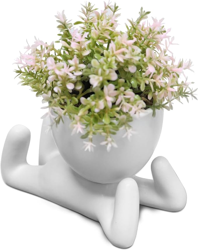 Zerzsy Desk Decorations for Women Office Small Office Desk Decor - Decorative Plants - Bathroom Shelf Decor Accent Women Cute Cubicle Accessories - Set of 1