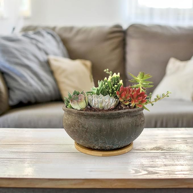 8 Inch Glazed Terracotta Plant Pot Round Ceramic Succulent Planter Pot with Drainage and Saucer Cactus Clay Pot Bonsai Pot (Brown)