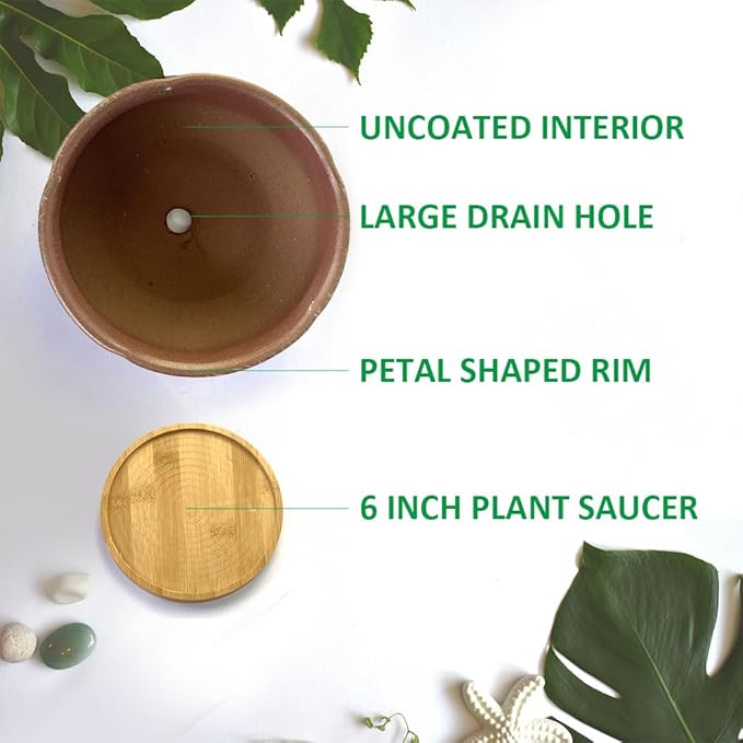 8 Inch Glazed Terracotta Plant Pot Round Ceramic Succulent Planter Pot with Drainage and Saucer Cactus Clay Pot Bonsai Pot (Pink and Green)