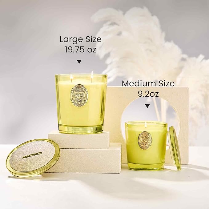M&SENSE Large Two-Wick Soy Candle | Seattle Rainforest & Matcha Green |19.8 oz, 120H Burn Time | Luxury Scented Candle for Relaxation, Gifting, Home Décor | Ideal for Bedroom, Office, Party Ambiance