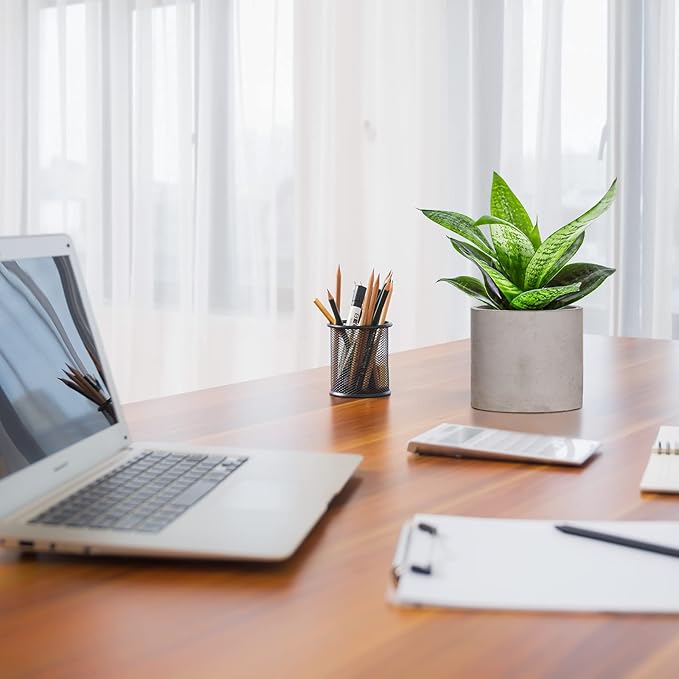 Ekirlin 3.5 inch Plant Pot Indoor, Grey Cement Flower Planters for Home Decor, Modern Succulents Containers with Drain Hole, Removable Rubber Stopper, Non-Slip Soft Pad, for Most Plants and Flowers