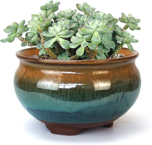 8 Inch Glazed Terracotta Plant Pot Round Ceramic Succulent Planter Pot with Drainage and Saucer Cactus Clay Pot Bonsai Pot (Brown and Green)