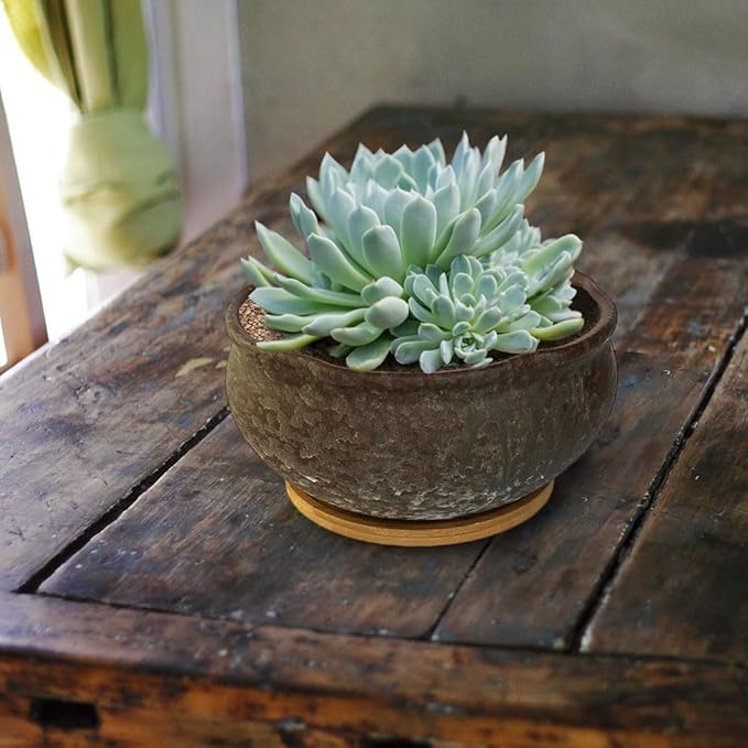 8 Inch Glazed Terracotta Plant Pot Round Ceramic Succulent Planter Pot with Drainage and Saucer Cactus Clay Pot Bonsai Pot (Brown)