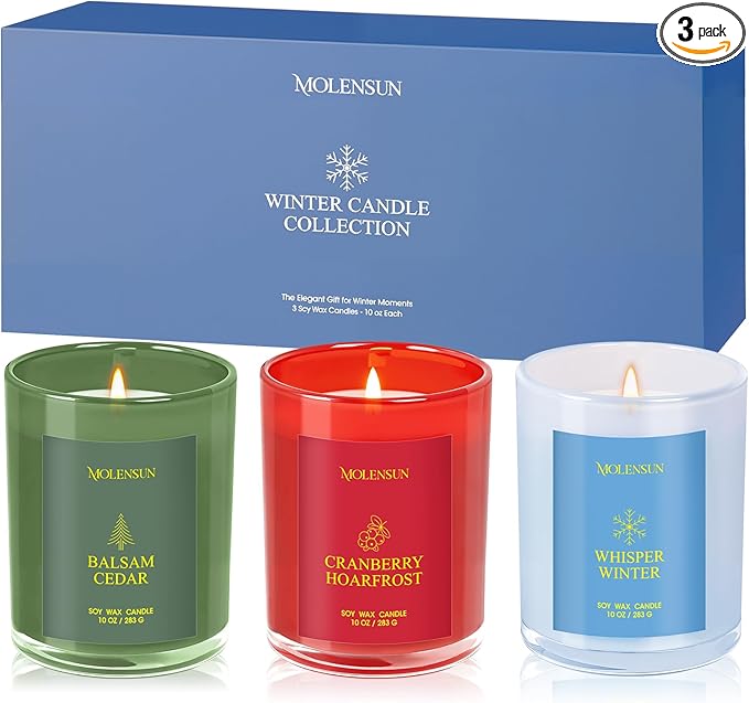Winter Candles Gift Set, 3 Pack Total 30oz Soy Scented Candles in Luxury Gift Box, Christmas Birthday & Holiday Gifts for Women & Men, Long Lasting Non-Toxic Clean Burn, Winter Festive Home Decor