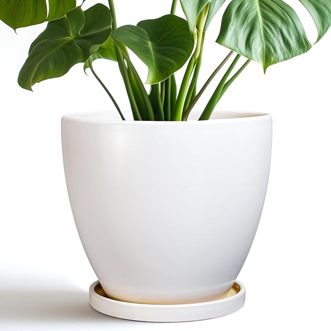 8 Inch Plant Pot - Ceraimc Planter for Indoor Outdoor Plants, Round Flower Pots with Drainage and Tray, House Decor, White