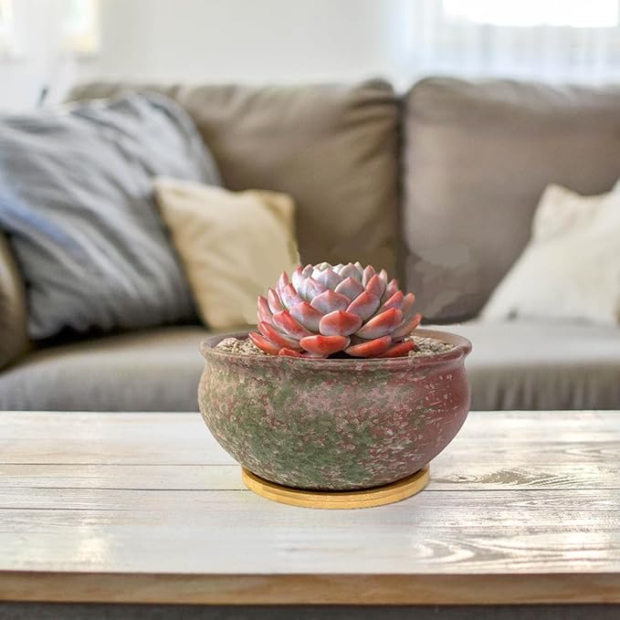 8 Inch Glazed Terracotta Plant Pot Round Ceramic Succulent Planter Pot with Drainage and Saucer Cactus Clay Pot Bonsai Pot (Pink and Green)