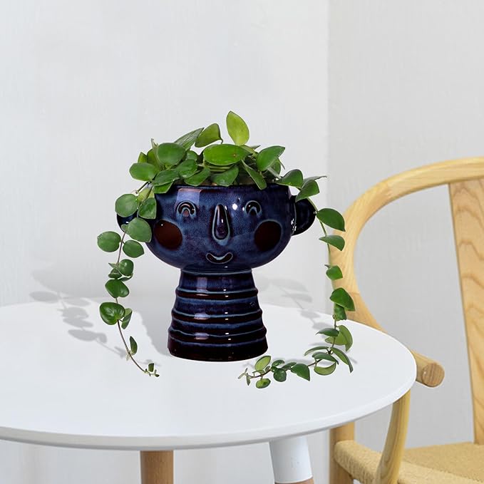Planter, Ceramic Cute Face Flower Pot Head, Indoor Outdoor, Drainage Hole, 7x5x6 inches, Light Blue