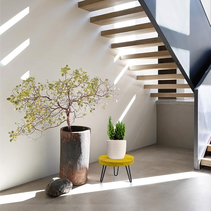 Plant Stand Indoor Outdoor Wood Mid Century Plant Stand for Indoor Plants, Modern Plant Table Round Plant Stool, Boho Rustic Wooden Stool for Plant Pot Hol (L)