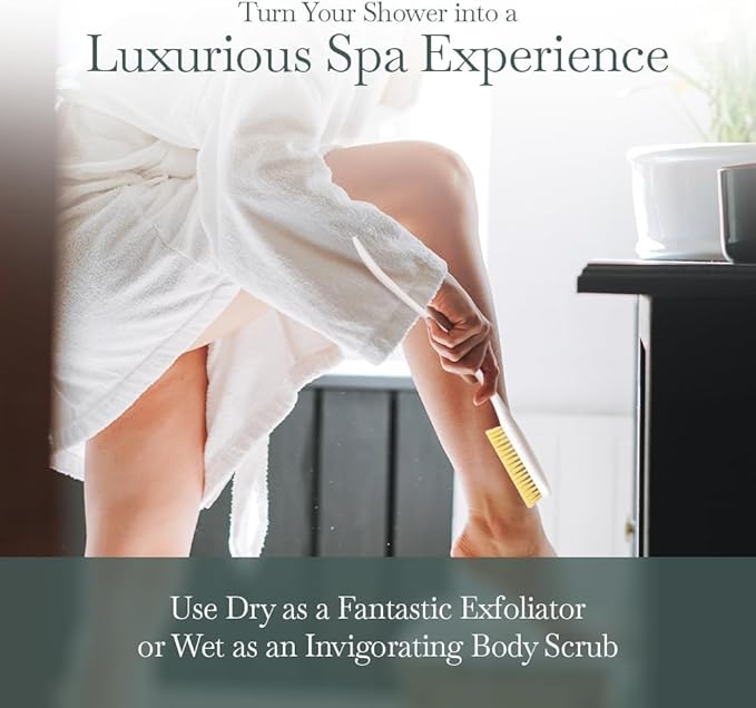 Fuller Brush Exfoliator & Scrub Body Brush - 16-inch Contoured Handle with Polyester Bristles - an All-Over Reach Including Back, Neck, Shoulders & Feet - Soft, Durable & Gentle on Your Skin (2-Pack)