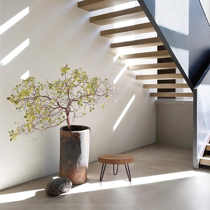 Plant Stand Indoor Outdoor Wood Mid Century Plant Stand for Indoor Plants, Modern Plant Table Round Plant Stool, Boho Rustic Wooden Stool for Plant Pot Hol (L)