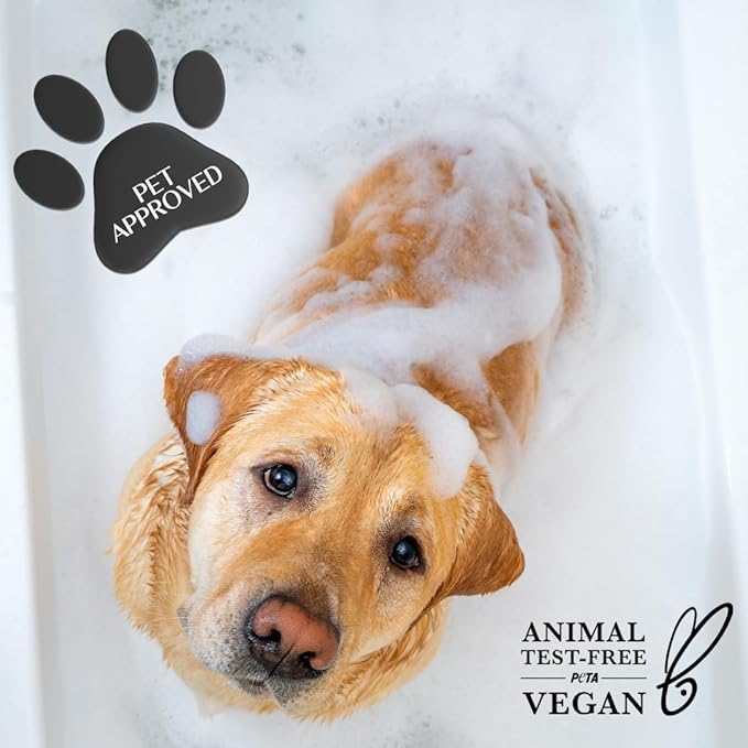 Brittanie's Pure Organic Castile Liquid Olive Oil Soap Refill, 1 Gallon Unscented | Face, Body Wash, All Purpose Cleaner, Dishes, Pets, Laundry | Vegan, Biodegradable, Made in USA