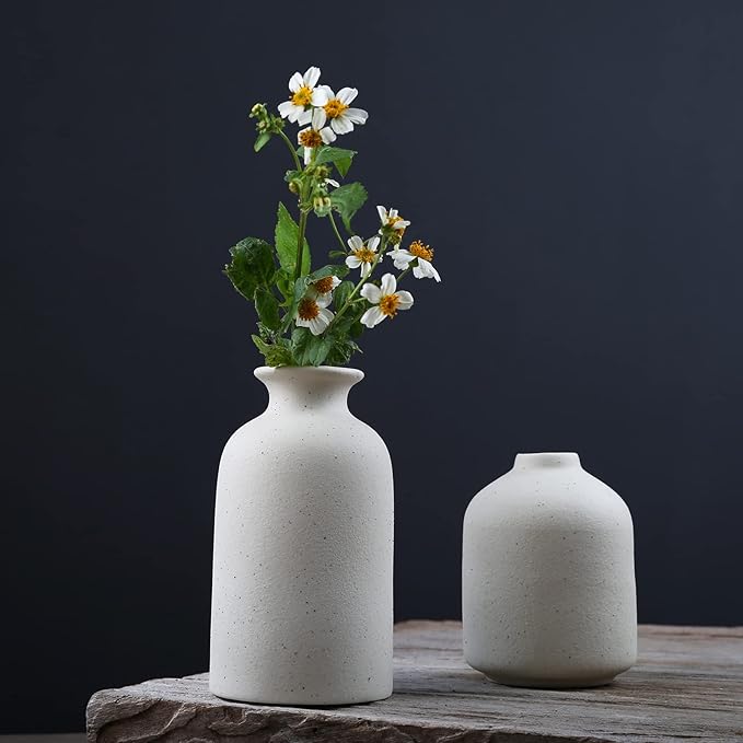 Ceramic Vase,Small Vases for Decor,Set 3 Modern Boho Vases for Flower Pampas,Fit for Living Room Desk Shelf Decor (White)