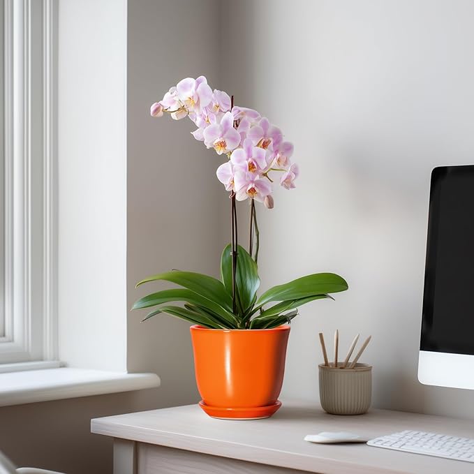 5.6 Inch Plant Pot - Ceramic Pots for Plants Indoor Outdoor, Succulent Pot with Drainage Hole and Saucer, Round Modern Flower Pots, Garden Home Room Decor, Gifts for Plant Lovers, Orange