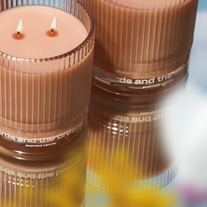 Birds and The Breeze Luxury Scented Candle by Snif, Light and Airy Scent, 50+ Hours, 100% Cotton Fiber Wicks, Soy Wax Blend, Non-Toxic, Vegan, 8.5 oz…