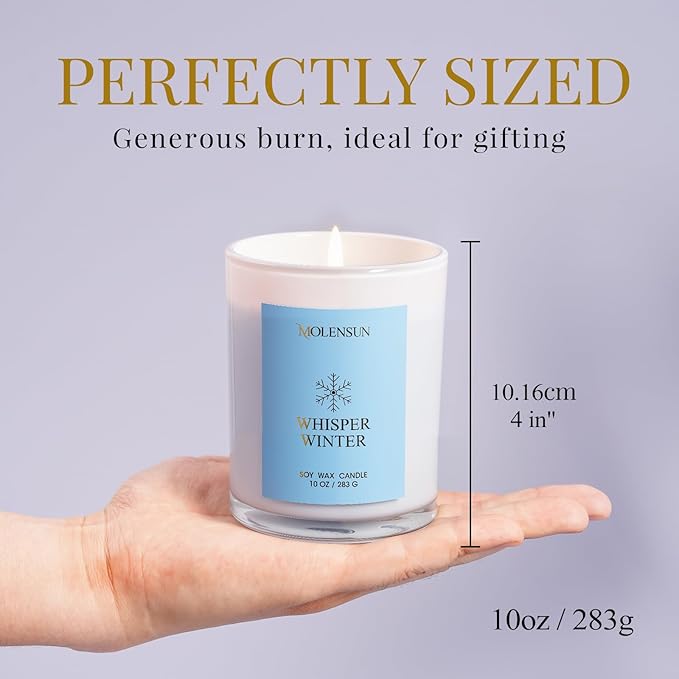 Winter Candles Gift Set, 3 Pack Total 30oz Soy Scented Candles in Luxury Gift Box, Christmas Birthday & Holiday Gifts for Women & Men, Long Lasting Non-Toxic Clean Burn, Winter Festive Home Decor