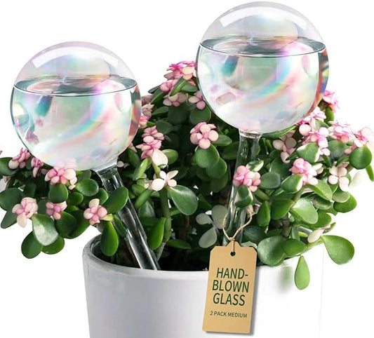 Extra-Thick Clear Glass Plant Watering Globes, Rainbow Gradient Self Watering Globes, Automatic Plant Waterer, Self Watering Planter Insert Spikes Devices for Everyday or Vacation Use, 2-Pack