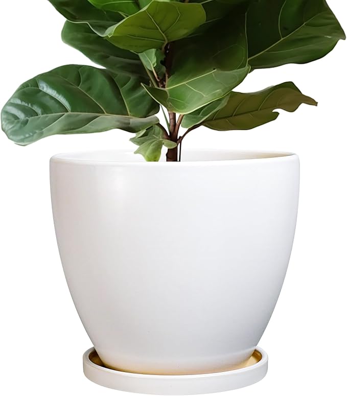 Ceramic Planter - 10 Inch Plant Pot with Drainage Hole and Tray, Flower Pot Planters for Indoor Plants, Modern Room Garden Patio Bathroom Living Room Porch Home Decor， White