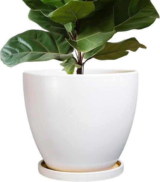 Ceramic Planter - 10 Inch Plant Pot with Drainage Hole and Tray, Flower Pot Planters for Indoor Plants, Modern Room Garden Patio Bathroom Living Room Porch Home Decor， White