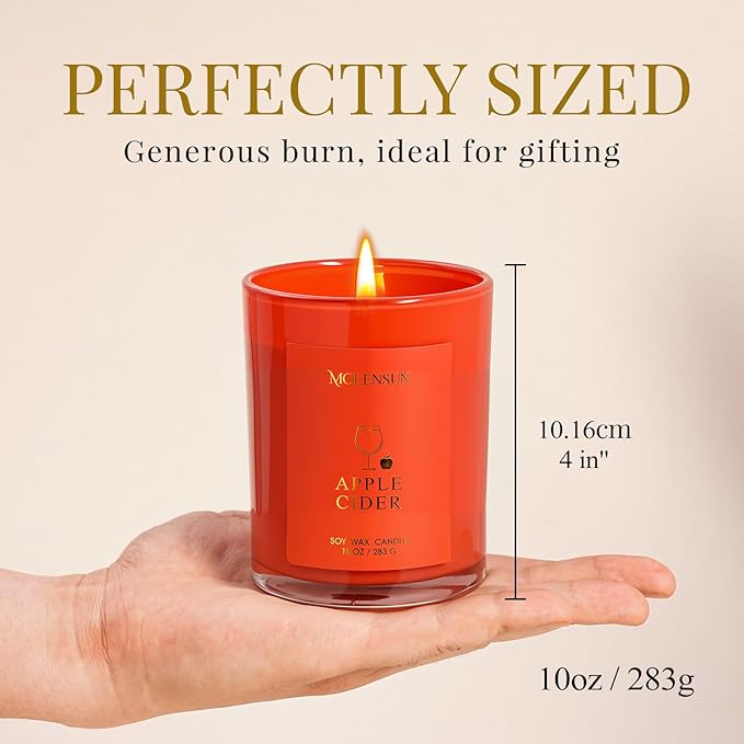 Christmas Candles Gift Set, 3 Pack Total 30oz Soy Scented Candles in Luxury Gift Box, Birthday & Holiday Gifts for Women & Men, Long Lasting Non-Toxic Clean Burn, Elegant Winter Festive Home Decor