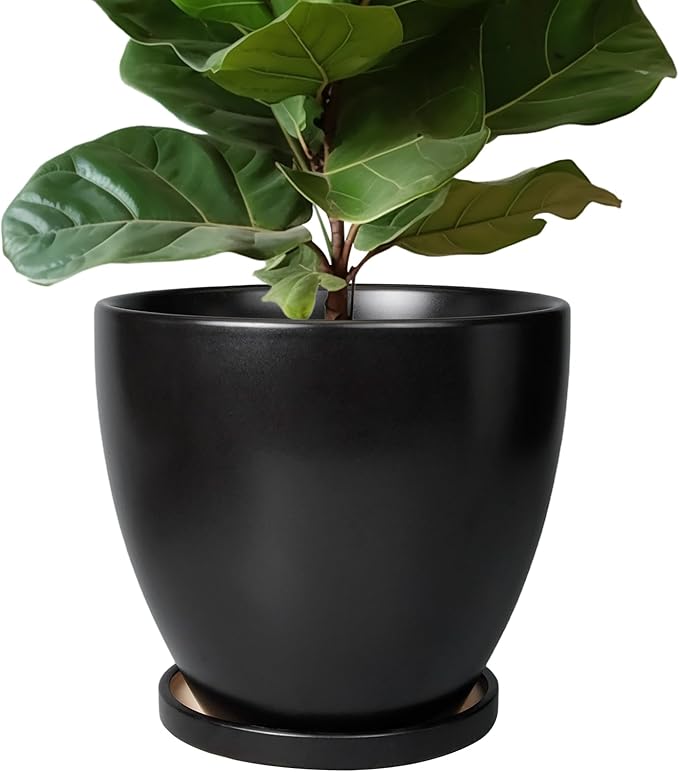 Ceramic Planter - 10 Inch Plant Pot with Drainage Hole and Tray, Round Flower Pots, Planters for Indoor Plants, Modern Room Garden Patio Bathroom Living Room Porch Home Decor, Black