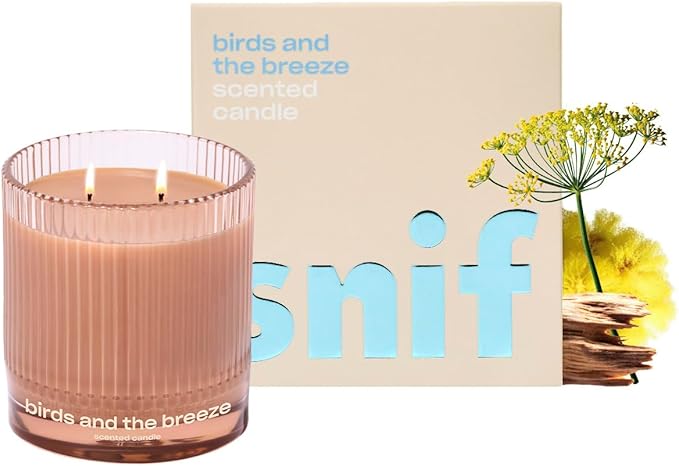 Birds and The Breeze Luxury Scented Candle by Snif, Light and Airy Scent, 50+ Hours, 100% Cotton Fiber Wicks, Soy Wax Blend, Non-Toxic, Vegan, 8.5 oz…