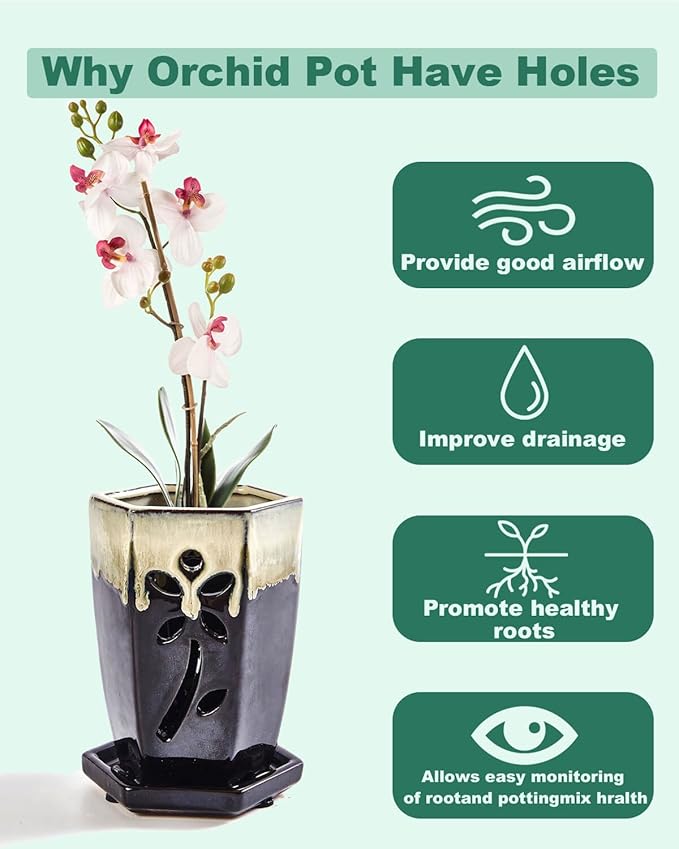 vensovo 4 Inch Ceramic Orchid Pots with Holes and Saucers - 1 Pcs Small Hexagon Succulent Pot for Repotting, Garden Flowerpots for Plants Indoor and Outdoor Promotes Air Circulation, (Black Mixed)